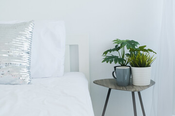 Decoration in bedroom with pillow on the bed and potted plant green