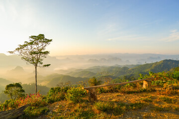 Doi Ta Pang (khao thalu) Chumphon, 
Tropical Nature in Thailand