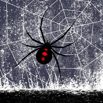 Black and red spider sitting on a web, against the background of a grunge texture. Vector illustration.
