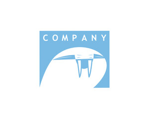 Vector illustration of albino sea lion logo. Good for many company logo.