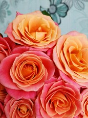 Closeup photo of bouquet of pink and orange roses "Miss Piggy"