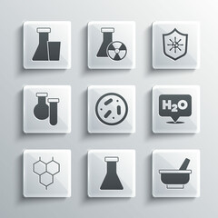 Set Test tube and flask, Mortar pestle, Chemical formula for H2O, Petri dish with bacteria, and Shield protecting from virus icon. Vector