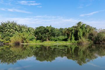 The river reflects the beautiful scenery on both sides, with green trees and houses.