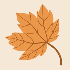 Simplicity maple leaf freehand drawing flat design.