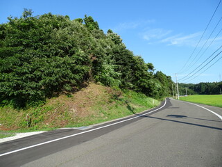 いなかの道路