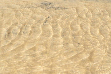 footprints in the sand