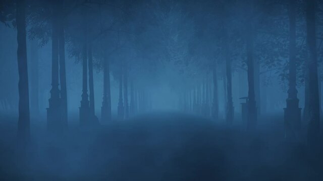 Walking slowly through the path of a haunted forest at night.