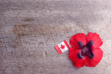 full red poppy flower bloom on rustic wooden background with copy space with Canadian flag