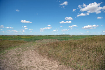 Fototapeta na wymiar Prairie landscape of a grain field with bright blue skies and puffy clouds in southern Saskatchewan, Canada.