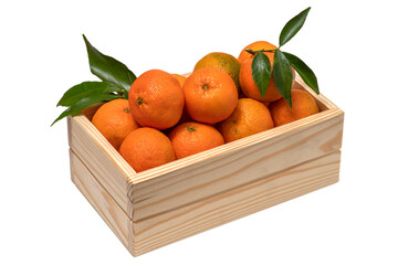 Fresh Mandarin orange fruits, tangerine, yellow-orange clementine with green leaves