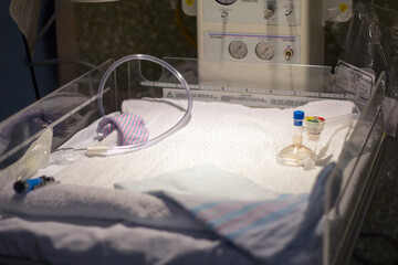 Empty Baby Bassinet in the Hospital ready for the Newborn