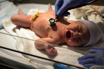 Newborn Baby Girl In Hospital Bassinet - 456221577