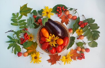 Vegetables are in the basket, tomatoes, eggplants