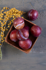 Obraz premium fresh purple plums in a wooden plate on a dark brown slate, stone or concrete background. top view with space to copy. the concept of proper nutrition. branches of yellow mimosa