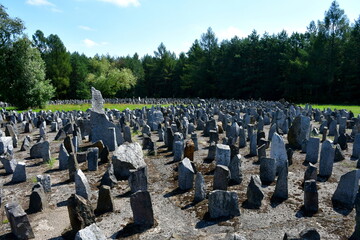 A close up on a field full of commemorative sharp rocks, boulders and stones located next to a dense forest or moor in the middle of a public park seen on a sunny summer day in Poland 