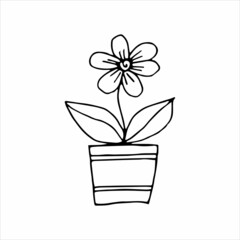 Hand drawn indoor plant in a pot, doodle design. Home plants. Illustration for print, web, mobile and infographics.