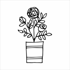Hand drawn indoor plant in a pot, doodle design. Home plants. Illustration for print, web, mobile and infographics.