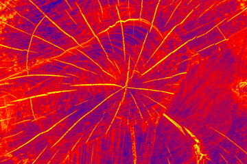 Cut tree and lines in cross section