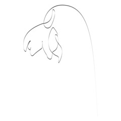 Obraz premium Summer Snowflake or Loddon Lily flower line art. Minimalist contour drawing. One line artwork