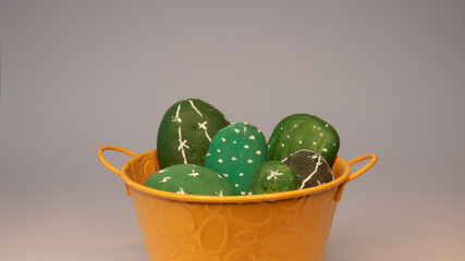 poyyed cactus shaped hand painted stones