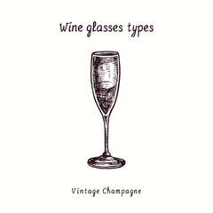 Wine glasses types collection, Vintage Champagne. Ink black and white doodle drawing in woodcut style.