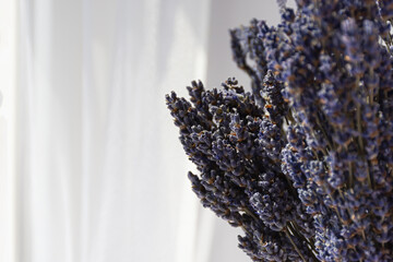Dry lavender in bouquets on a white background close-up. Collecting fragrant summer flowers....