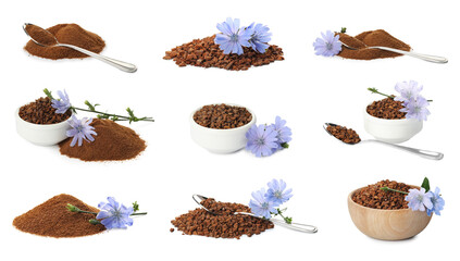 Set with chicory granules and powder on white background