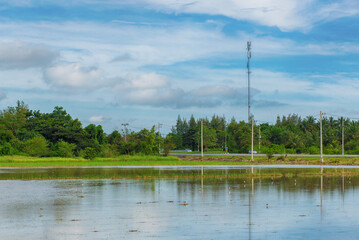 Obraz premium lake in the forest