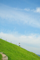landscape with grass and sky