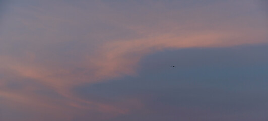Beautiful colored cloudy evening sky.  Abstract sky background.