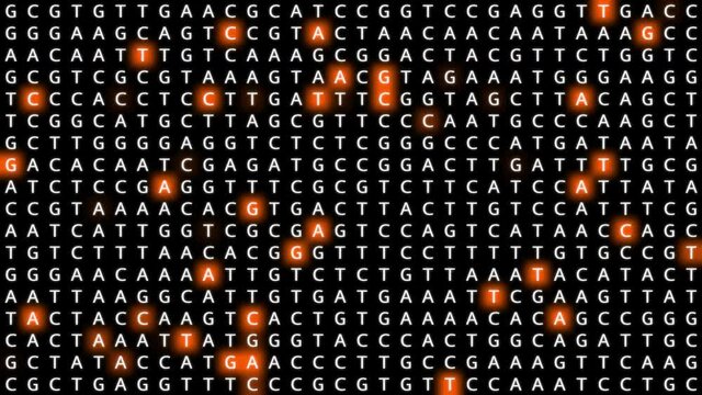 Loopable: Genetic mapping DNA sequence analysis abstract background with letters A,G,C,T in grid with orange squares. Big genomic data analysis concept.