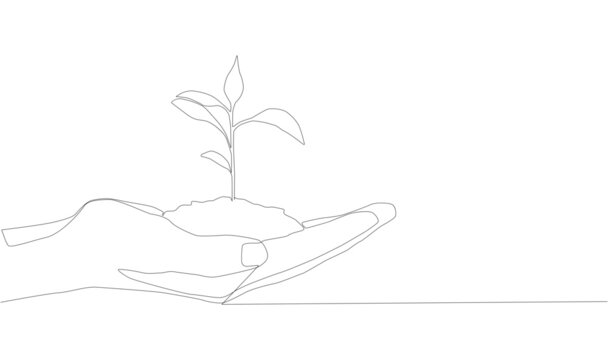 continuous line drawing of hand showing growing plant