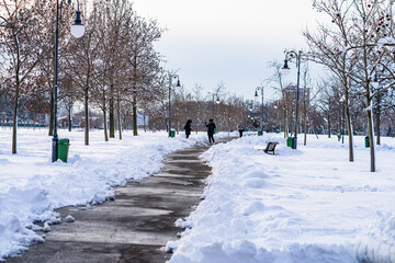 Perfectly shaped snow, snowy environment in the morning. Winter concept, frozen and snow covered...