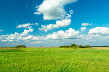 Green meadow and white clouds on the blue sky