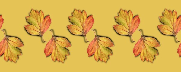 Watercolor illustration with autumn orange leaves on a yellow background