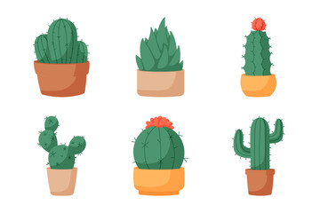 Hand drawn design element cactus collection. Set six elements