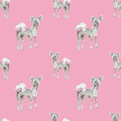 Chinese crested dog breed. Pink seamless pattern.