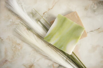 Aloe soap and plant with marble background
