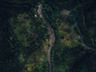 topview of the road and texture forest