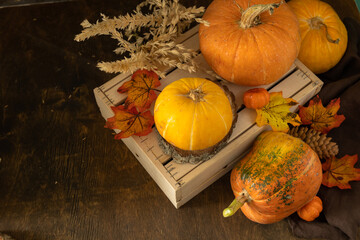 Festive autumn seasonal decorations with pumpkins and leaves on a rustic wooden background. Concept of Halloween or Thanksgiving day, autumn harvest. Copy space.