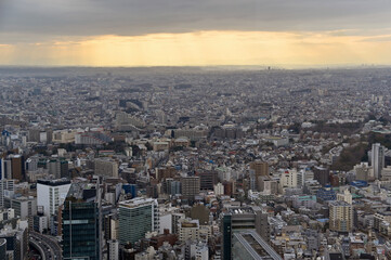 Fototapeta na wymiar Tokyo City from high