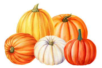 Set of watercolor pumpkins isolated on white background, botanical illustrations, autumn compositions