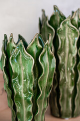 Obraz premium Decorative ceramic vase. Stylish Interior home design. Succulent and cactus plants in pot