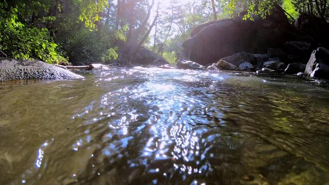 Looking downstream above small river flowing in summer though American Fork Canyon in Utah.