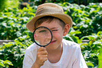 Serious adorable little child boy in straw hat with magnifying glass watching or looking for. Kid conducts investigation, undergoes quest. Little detective.