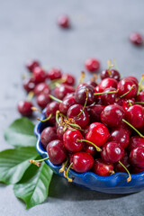 Bowl with fresh ripe sour kriek cherry berry