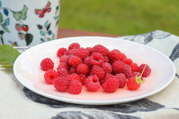 Plate with wild raspberries on a table outdoors
