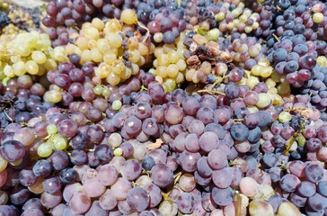 grapes,