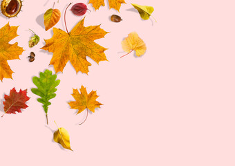 Festive autumn decor from pumpkins, berries and leaves on a white wooden background. Concept of Thanksgiving day or Halloween. Flat lay autumn composition with copy space.