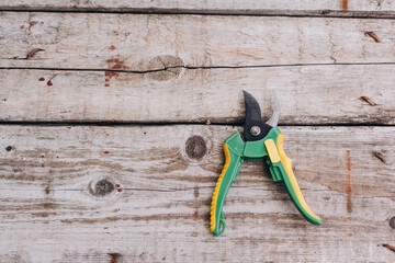 Green gardening secateurs on a wooden background. Top view.